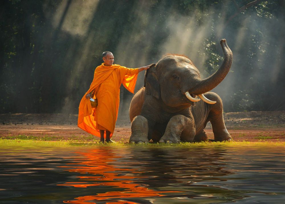 monk-elephant-thailand-shutterstock_539708797