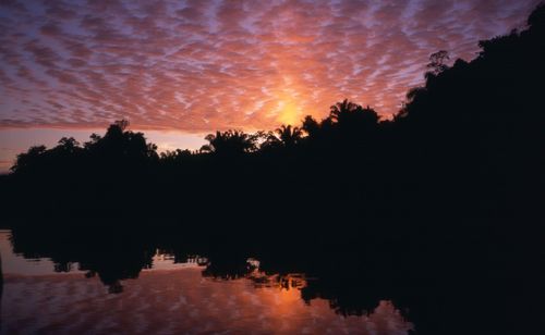 Sunset with high clouds in the Bolivian jungle near Chalalan lodge